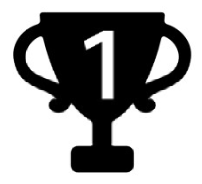 11 Winter League Icon